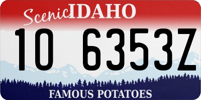 ID license plate 1O6353Z