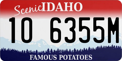 ID license plate 1O6355M