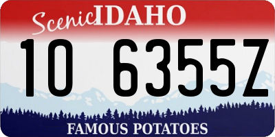 ID license plate 1O6355Z
