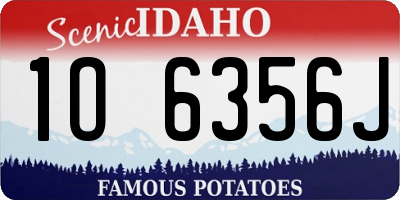 ID license plate 1O6356J