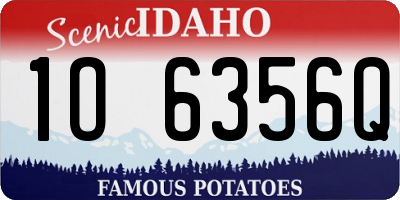 ID license plate 1O6356Q