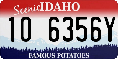 ID license plate 1O6356Y