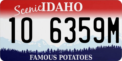 ID license plate 1O6359M