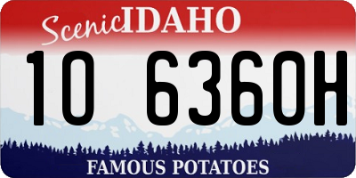 ID license plate 1O6360H