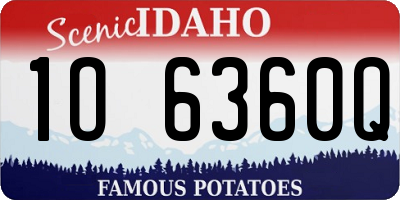 ID license plate 1O6360Q