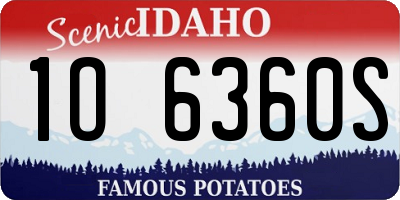 ID license plate 1O6360S