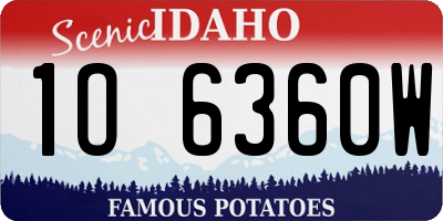 ID license plate 1O6360W