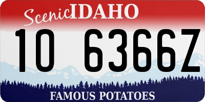 ID license plate 1O6366Z