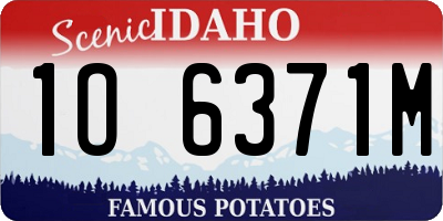 ID license plate 1O6371M