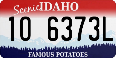 ID license plate 1O6373L