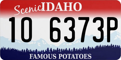 ID license plate 1O6373P
