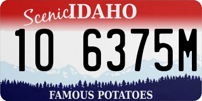ID license plate 1O6375M