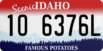 ID license plate 1O6376L