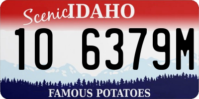 ID license plate 1O6379M
