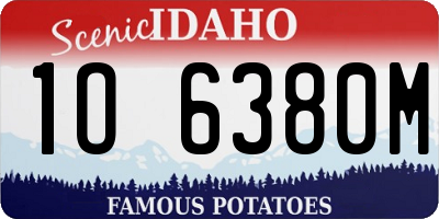 ID license plate 1O6380M
