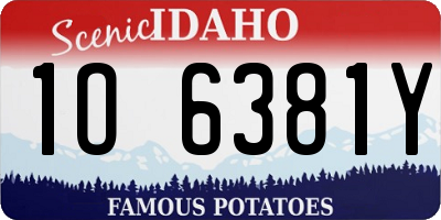 ID license plate 1O6381Y