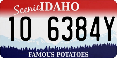 ID license plate 1O6384Y