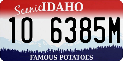 ID license plate 1O6385M