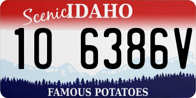 ID license plate 1O6386V