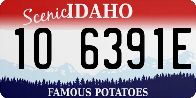 ID license plate 1O6391E