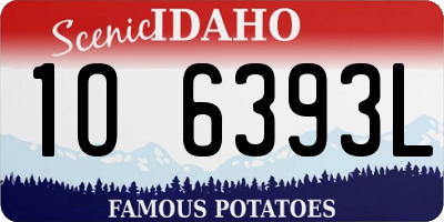 ID license plate 1O6393L