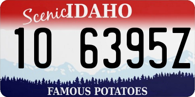 ID license plate 1O6395Z