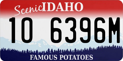 ID license plate 1O6396M