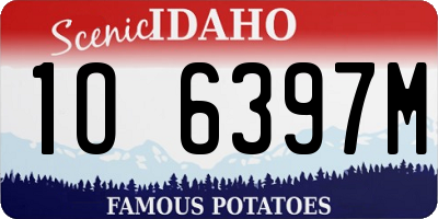 ID license plate 1O6397M