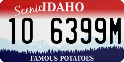 ID license plate 1O6399M