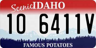 ID license plate 1O6411V