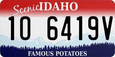 ID license plate 1O6419V