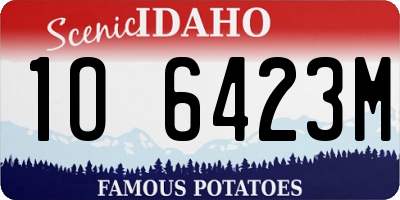ID license plate 1O6423M