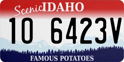 ID license plate 1O6423V