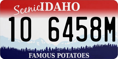 ID license plate 1O6458M