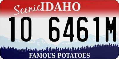 ID license plate 1O6461M