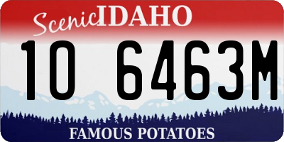 ID license plate 1O6463M