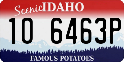 ID license plate 1O6463P