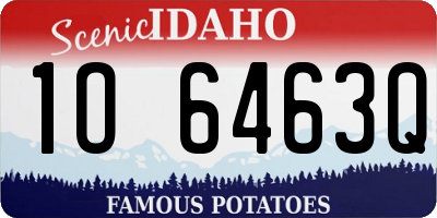 ID license plate 1O6463Q