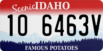 ID license plate 1O6463V