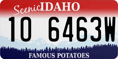 ID license plate 1O6463W