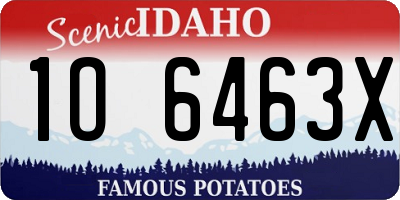 ID license plate 1O6463X