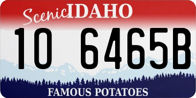 ID license plate 1O6465B