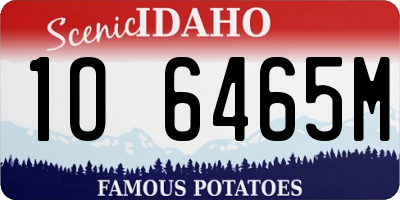 ID license plate 1O6465M