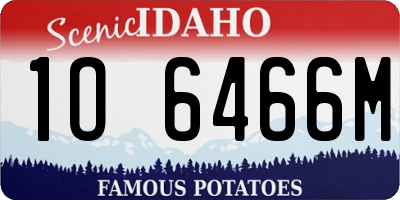 ID license plate 1O6466M