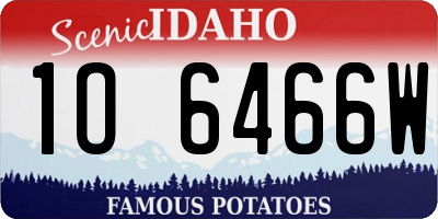 ID license plate 1O6466W