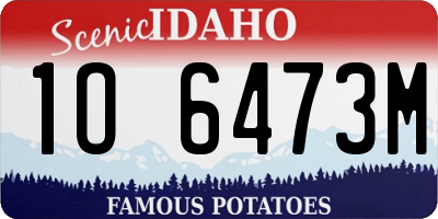 ID license plate 1O6473M