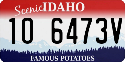 ID license plate 1O6473V