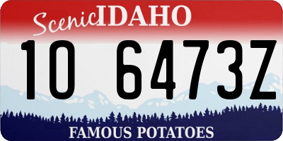 ID license plate 1O6473Z