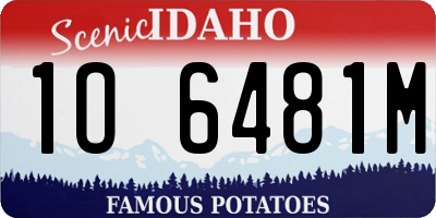 ID license plate 1O6481M