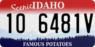 ID license plate 1O6481V